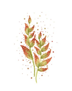 Beyaz arka planda suluboya ile boyanmış bahçe çiçekleri.