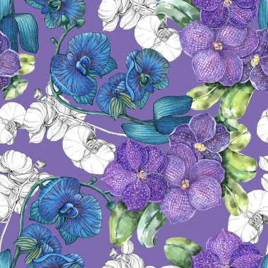 Suluboya ile çizilmiş tropik çiçek orkidesi. Menekşe arkaplanda çiçeksiz desen.