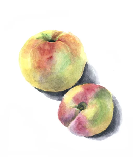 苹果用水彩画 手工制作的插图 — 图库照片