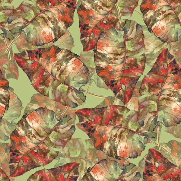 Большие Листья Живописи Акварелью Зеленом Фоне Осенний Бесшовный Рисунок Украшения — стоковое фото