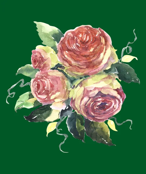 Bukett Trädgård Rosor Med Blad Målning Akvarell Grön Bakgrund Blommig — Stockfoto