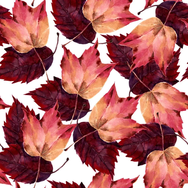 Autumn Leaves Painting Watercolor White Background Seamless Pattern Decorations Textiles — Stock Photo, Image