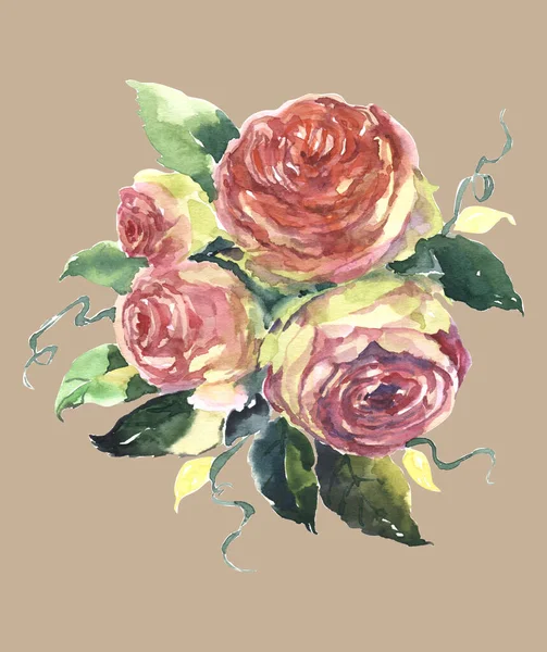 Bukiet Róż Ogrodowych Liści Malowanie Akwareli Beżowym Tle Dekoracji Tekstyliów — Zdjęcie stockowe