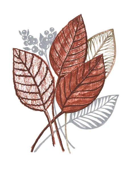 芬芳的秋叶 银莓色水彩画 手工制作的插图 — 图库照片