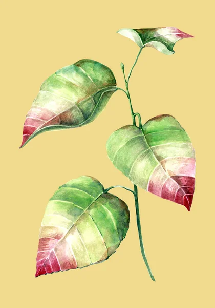 水彩画で色とりどりの葉の枝 手作りイラスト — ストック写真