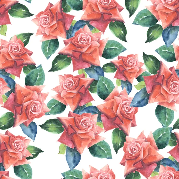 有水彩画树叶的花园玫瑰 白色背景花束玫瑰装饰的无缝图案 — 图库照片