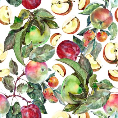 Beyaz arka planda yaprakları olan farklı elmaları suluboya. Dekorasyon için kusursuz desen.