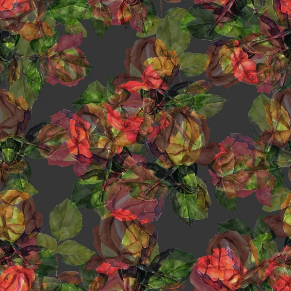 Garden roses with leaves painting in watercolor. Seamless pattern with bouquet spring flowers on black background for decor.