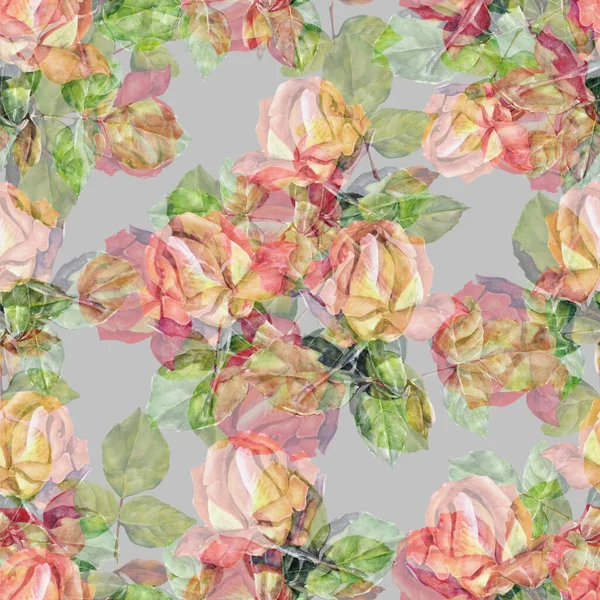 Garden roses with leaves painting in watercolor. Seamless pattern with bouquet spring flowers on gray background for decor.