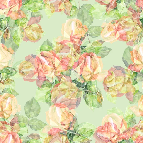 Garden roses with leaves painting in watercolor. Seamless pattern with bouquet spring flowers on green background for decor.