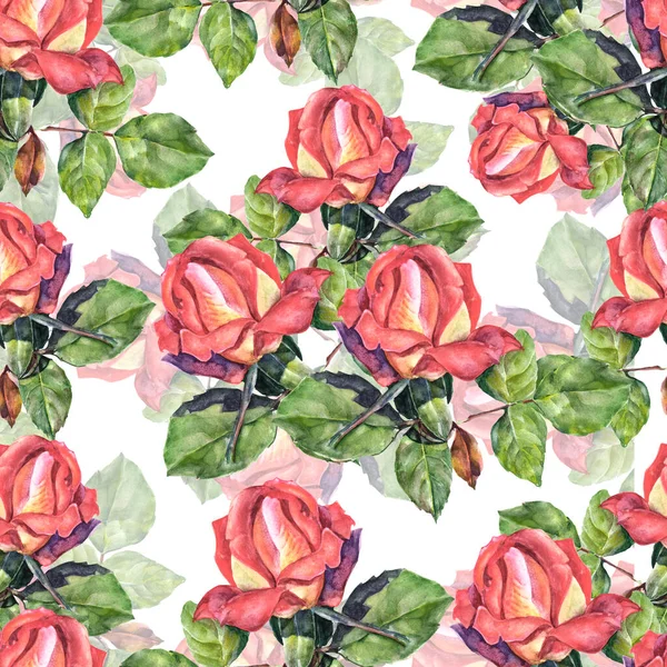 Garden roses with leaves painting in watercolor. Seamless pattern with bouquet spring flowers on white background for decor.
