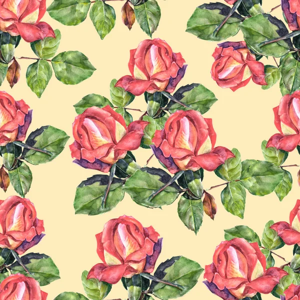 Garden roses with leaves painting in watercolor. Seamless pattern with bouquet spring flowers on beige background for decor.