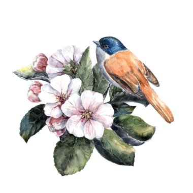 Watercolor small bird on branch of blossom tree. Illustration handmade on white background.