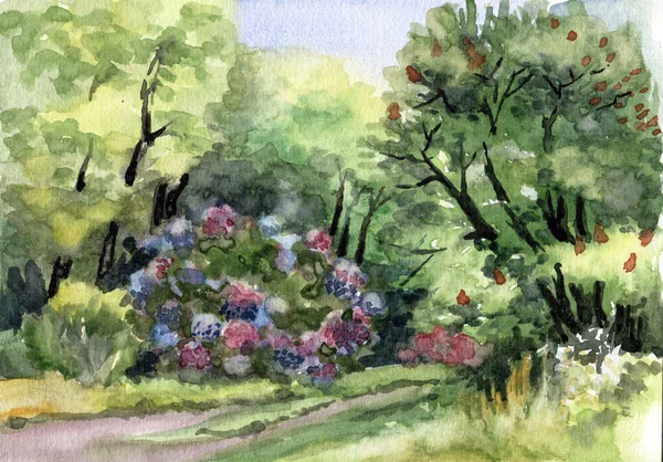 Watercolor painting of a beautiful spring landscape. Bush of blooming hydrangea.