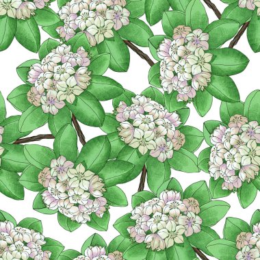 Beyaz arkaplanda çiçek desenli suluboya deseni.