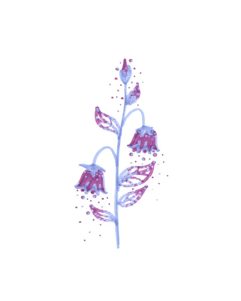 水彩缤纷的森林花朵手绘插图 — 图库照片