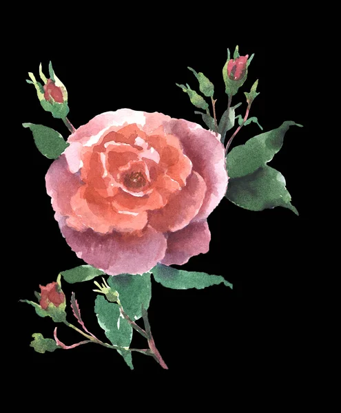Υδατογραφία Ροζ Τριαντάφυλλα Μπουμπούκι Και Φύλλα Χειροποίητη Απεικόνιση — Φωτογραφία Αρχείου
