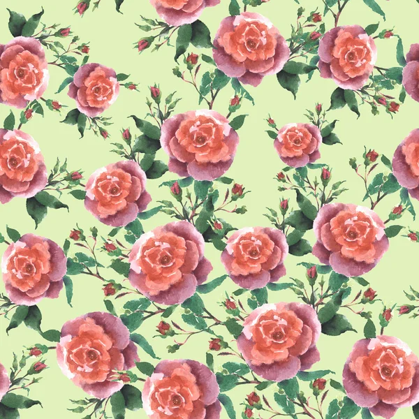 Υδατογραφία Ροζ Τριαντάφυλλα Μπουμπούκι Και Φύλλα Χειροποίητο Σχέδιο Χωρίς Ραφή — Φωτογραφία Αρχείου
