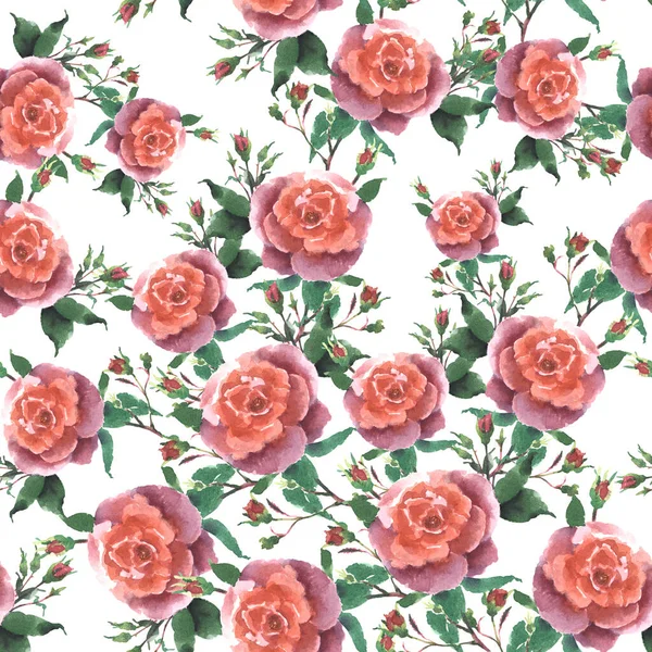 シームレスな水彩のバラのパターン 白地に手描きイラスト — ストック写真