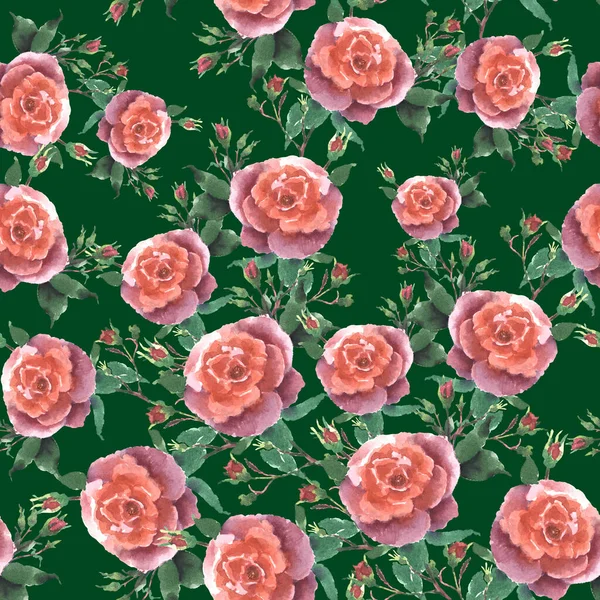 Υδατογραφία Ροζ Τριαντάφυλλα Μπουμπούκι Και Φύλλα Χειροποίητο Σχέδιο Χωρίς Ραφή — Φωτογραφία Αρχείου