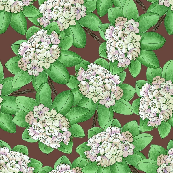 Patrón Sin Costura Acuarela Con Flores Rododendro Sobre Fondo Marrón —  Fotos de Stock