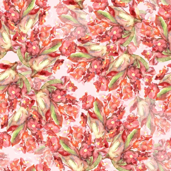 Acquerello Modello Senza Soluzione Continuità Con Fiori Begonia Sfondo Rosa — Foto Stock