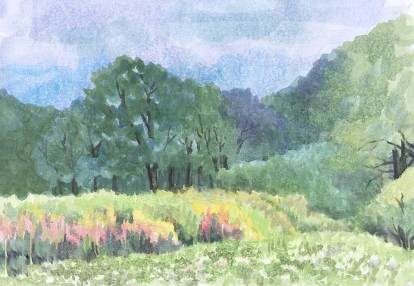Акварельный Рисунок Красивого Пейзажа Весна Лугу — стоковое фото