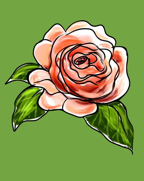 Illustration of hand drawn sketch rose with leaves on green background.