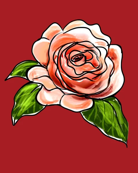 Illustration of hand drawn sketch rose with leaves on red background.