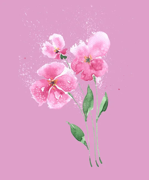 Bela Aquarela Mão Desenhada Primavera Ilustração Com Flores Rosa — Fotografia de Stock