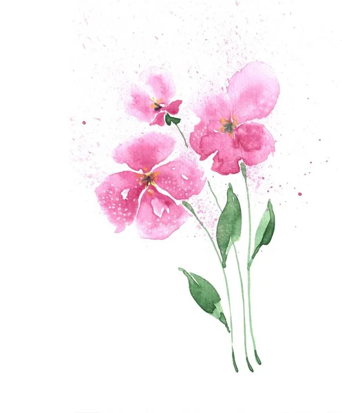 Belle Aquarelle Dessinée Main Illustration Printemps Avec Des Fleurs Roses — Photo