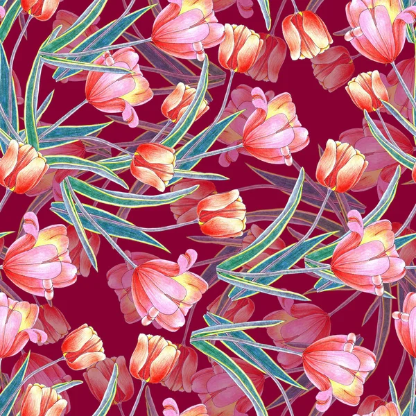 Akwarela Bezszwowy Wzór Kwiatami Tulipan Czerwonym Tle Kompozycja Kwiatowa Bez — Zdjęcie stockowe