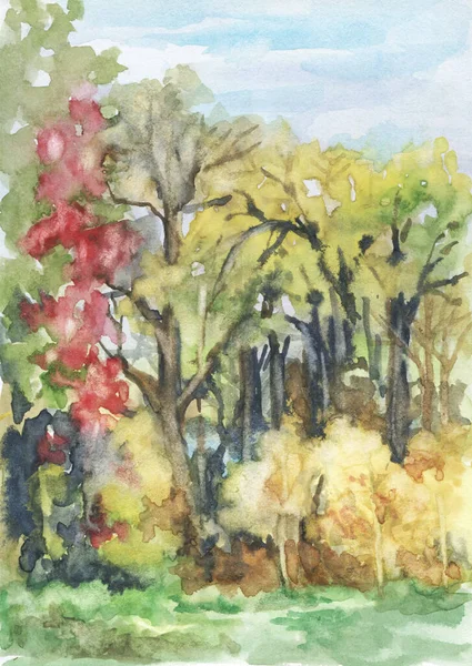 在秋天的森林里手绘亮丽的树的图解 水彩画为您的项目 — 图库照片
