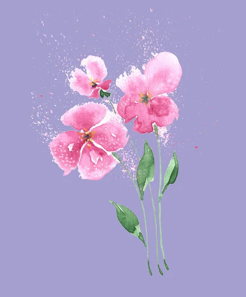Hand Drawn Illustration Pink Flowers Violet Background — Stock Photo, Image