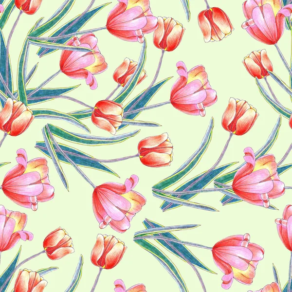 Watercolor Seamless Pattern Hand Drawn Flowers Tulip Green Background — Stock fotografie