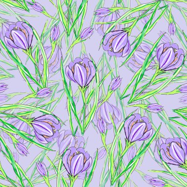 Floral seamless pattern with hand drawn flowers crocus on violet background.