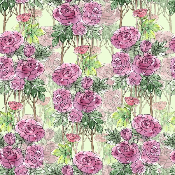 Patrón Sin Costura Acuarela Con Flores Dibujadas Mano Rosa Sobre — Foto de Stock