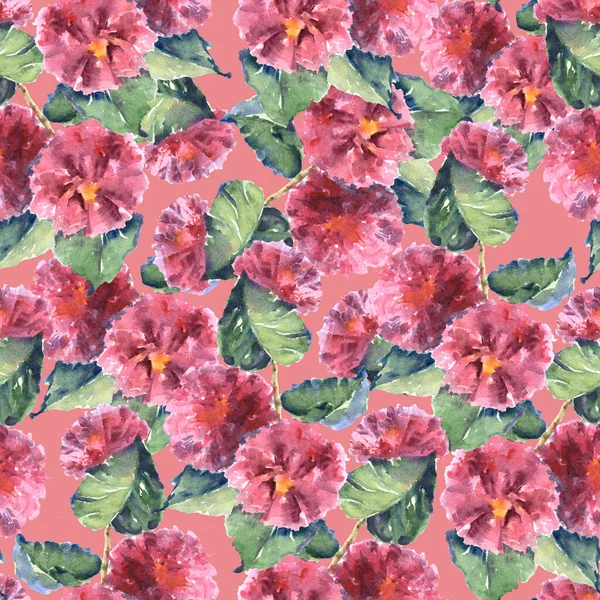 Akvarell Zökkenőmentes Háttér Finom Virágok Mályvacukor Rózsaszín Háttér Nyári Szövet — Stock Fotó