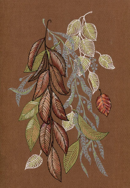 褐色背景下的不同树枝的水彩图像 — 图库照片