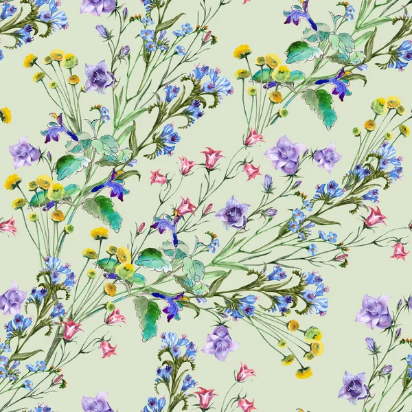 Watercolor Painting Beautiful Meadow Flowers Seamless Pattern Green Background — Foto Stock