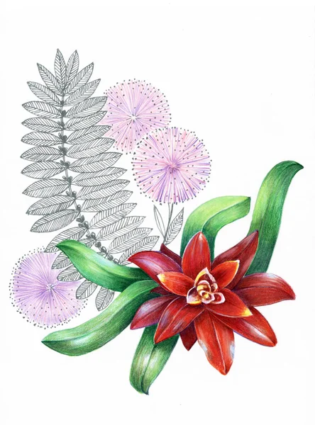 Aquarell Blumenstrauß Auf Isoliertem Hintergrund Illustration Für Ihr Projekt — Stockfoto