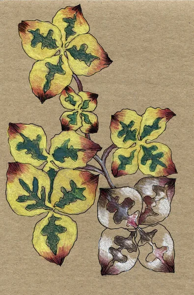 茶色の背景に水彩画で装飾的なカラフルな葉 プロジェクトの手描きイラスト — ストック写真