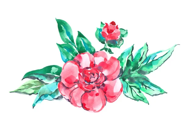 Wildflower Ros Blomma Akvarell Stil Isolerad Vit Bakgrund — Stockfoto