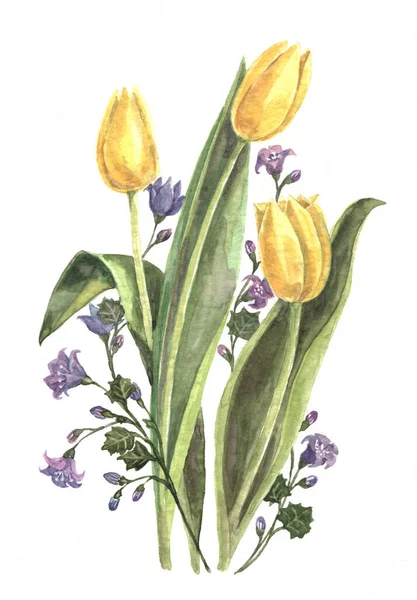 Illustration Aquarelle Une Plante Fleurs Tulipes Fleurs Sauvages Bleues — Photo