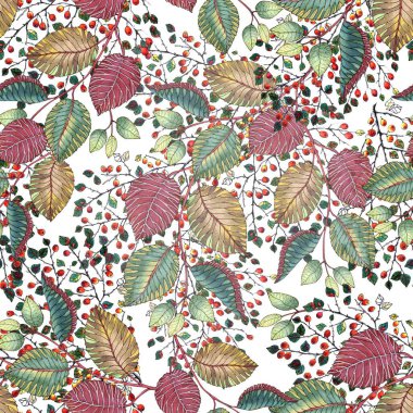 Renkli yaprakların dallarıyla suluboya desenleri ve beyaz arka planda kırmızı küçük böğürtlenler. Dekorasyon kağıtları ve kumaş bileşimi
