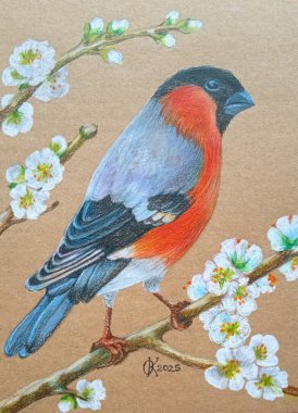 Dalında kuş olan bir resim. Renkli kalemlerden yapılmış. Evin içini bir kartpostalla dekore etmiş..