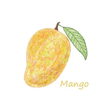 Beyaz arka planda mango. vektör illüstrasyonu.