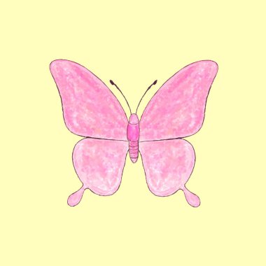 Beyaz arka planda kelebek. Vektör illüstrasyonu.