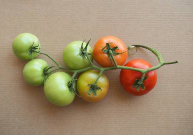 Kırmızı ve yeşil domatesler vejetaryen yiyecekler