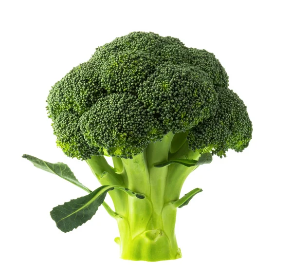 Čerstvá Brokolice Izolované Bílém Bez Stínu — Stock fotografie